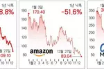 금리인상 직격탄…빅테크 반토막에 ‘곡소리’