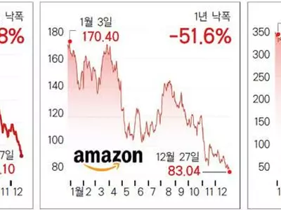 금리인상 직격탄…빅테크 반토막에 ‘곡소리’