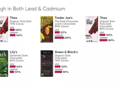 “초컬릿 중금속 함량 기준 초과”