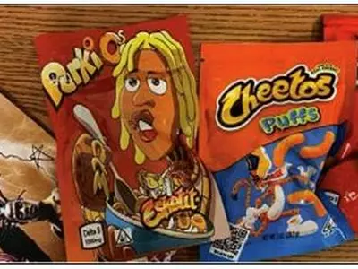 식용 마리화나 섭취 아동 급증