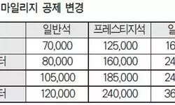 ‘마일리지 구매 항공권’ 비싸진다