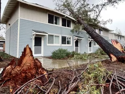 보험으로 보상… 원인 따라 본인 부담도