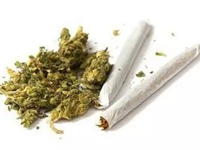 조지아 주민 다수 '마리화나 합법화' 지지