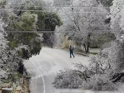 텍사스 휩쓴 겨울 폭풍