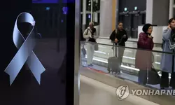 [튀르키예 강진]'지진 사흘째' 튀르키예·시리아 사망자 1만명 넘어서