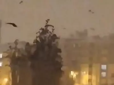 [튀르키예 강진] '재앙 예감했나' 동물 이상행동…"P파 감지 가능"