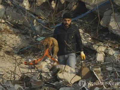 [튀르키예 강진] 개, 고양이, 앵무새에게도 '구조의 기적'