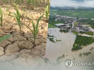 "기후변화에 가장 취약 20곳 대부분 중국…플로리다도 위험"
