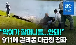 [영상] "할머니 물고 연못으로"…개 산책시키던 80대, 3m 악어에 희생