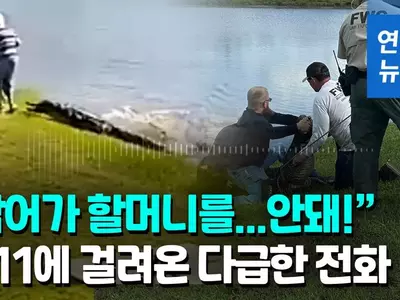 [영상] "할머니 물고 연못으로"…개 산책시키던 80대, 3m 악어에 희생