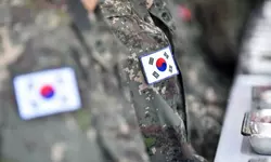 임시 체류 중 낳은 미국 태생 복수국적자 “국적 포기 하려면 병역 마쳐야”