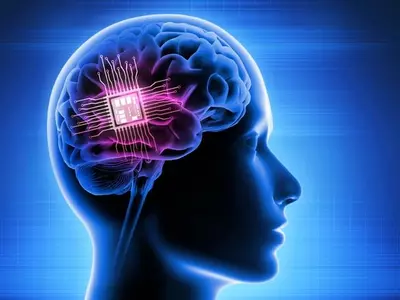 "머스크의 인간 뇌에 칩 이식 실험, FDA에 거부돼"