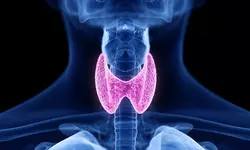 눈이 점점 돌출되는 이 질환은?