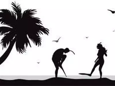 하와이 망망대해에 신혼부부 두고 간 스노클링 회사 500만 달러 피소