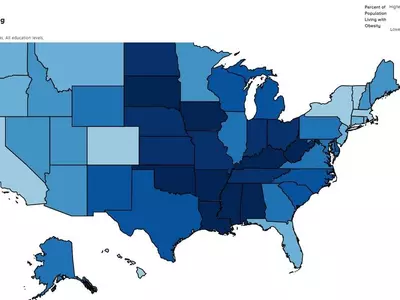 "미국민 5명 중 2명 비만"
