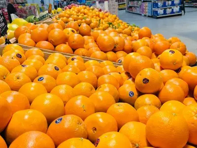 [한인마트정보] 가족 봄 나들이 할인 이벤트