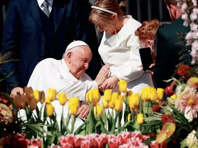 교황, 성베드로 광장서 일반 알현