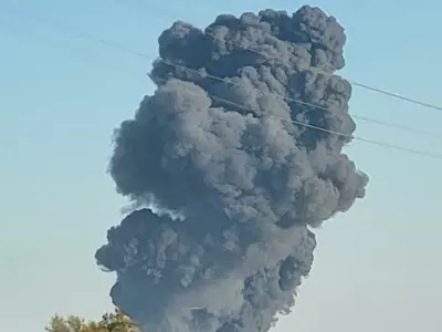 텍사스 젖소농장서 폭발로 소 1만8천마리 폐사