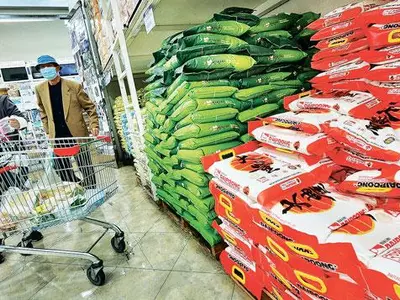 “비싸도 맛있네”… 한국쌀 ‘인기’