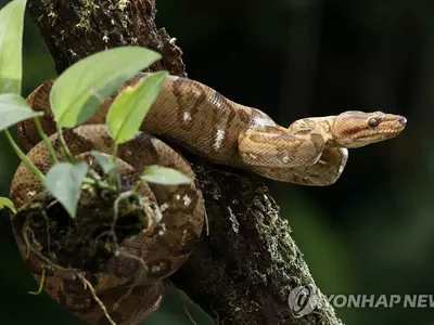 뱀굴 위에 살게 된 미국 싱글맘