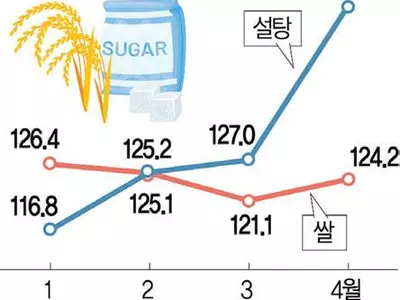 ‘슈퍼 엘니뇨’ 닥친다… 식량위기 재점화