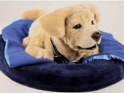 "외로워서 찾은 AI 챗봇, 결국엔 고립감만 키울 수도"