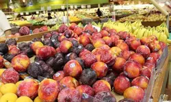 [한인마트 정보] 5월 가정의 달 세일