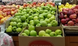 [한인마트 정보] 여름맞이 특가 세일