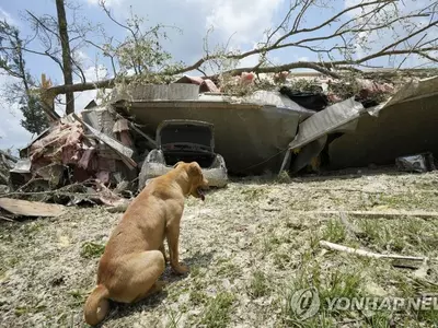 미시시피주 토네이도 피해