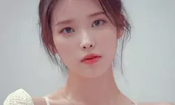 아이유 '분홍신' 표절 논란 새 국면…넥타 측 입 열어