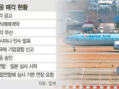 EU 제동에 대한항공·아시아나 합병 ‘난기류’