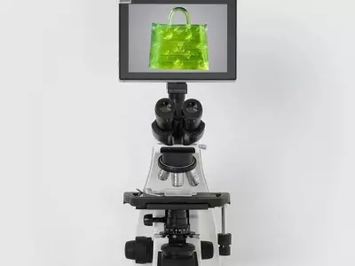 소금 알갱이보다 작은 '루이뷔통 백' 6만3천850만달러에 팔려