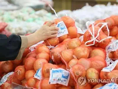 프리바이오틱스 많은 식품…"민들레·뚱딴지·마늘·리크·양파"