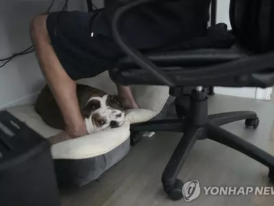 '일 보다 삶'…코로나19 이후 일 덜 하는 미국인들