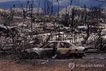 하와이 산불 사망자 114명으로 증가…실종자 "1천100∼1천300명"