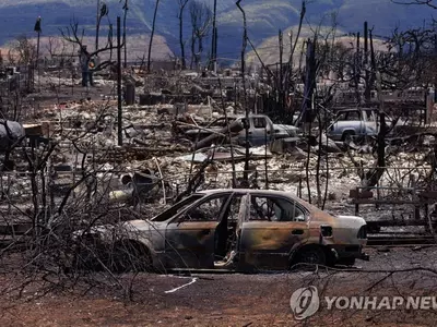 하와이 산불 사망자 114명으로 증가…실종자 "1천100∼1천300명"