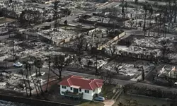 하와이 '빨간 지붕 집'은 100년된 목조주택…어떻게 불길 피했나