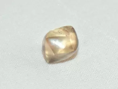 7세 어린이, 생일날 공원서 2.95캐럿 다이아몬드 '횡재'