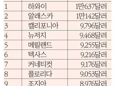 조지아주 가구당 카드빚 8,976달러 '전국 9위'