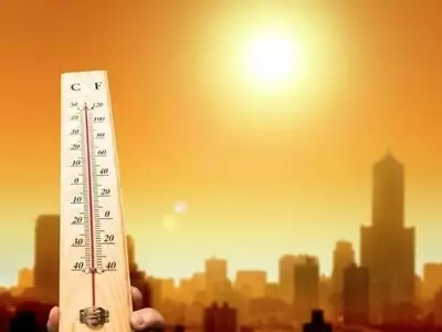 "조지아의 여름은 뜨거웠다"… 사상 최고 기온