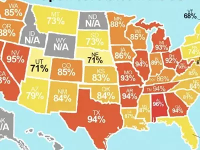 "조지아인들은 소심해"… 소심성 전국 3위