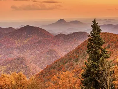 조지아 "단풍 구경, 애플 픽킹 여기서 하세요"
