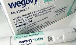 식품·의류·항공… 비만 치료제 열풍 파급 효과에 ‘불안’