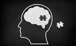 “성인 ADHD 환자, 치매 위험 3배↑”