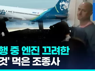 [영상] 비행 중 엔진 끄려고 한 조종사…알고보니 이틀 전 환각버섯