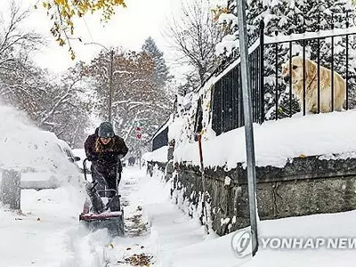 단풍 절정 몬태나주에 올해 첫 눈폭풍