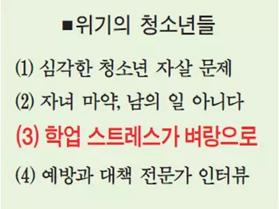 [기획시리즈 - 우리의 자녀가 위험하다] 미국서도 입시 스트레스… 고교생들 벼랑 내몬다
