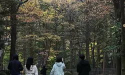 "오래 앉아있어 커지는 사망 위험, 하루 20분 운동이 줄여준다"