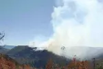 북조지아 1,400에이커 산불 원인은 ‘방화’