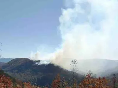 북조지아 1,400에이커 산불 원인은 ‘방화’